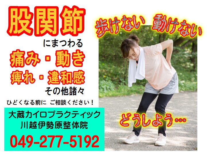 股関節痛　バナー　大蔵カイロプラクティック川越伊勢原整体院
