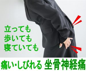 大蔵カイロプラクティック川越伊勢原整体院　坐骨神経痛ヘッダー