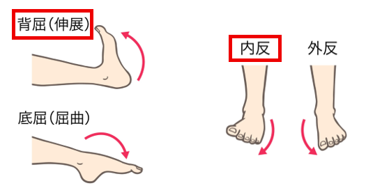 背屈底屈と内反外反
