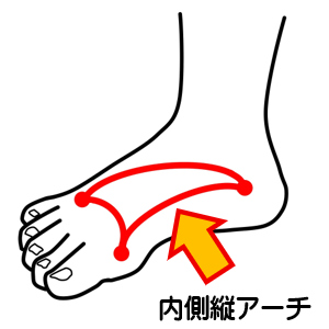 足のアーチ 内側縦アーチ