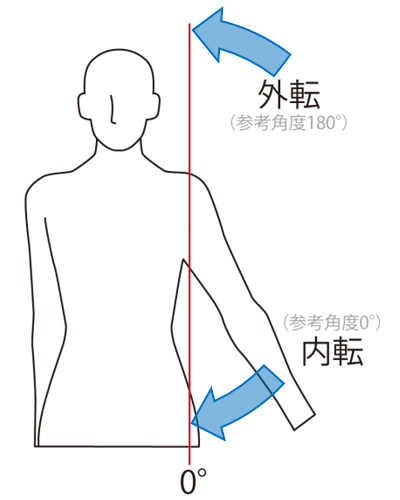 外転・内転 矢印補足